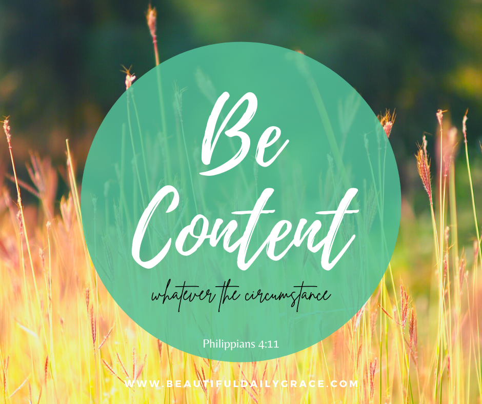 The Cow…Green Grass…& Some Truth About Being Content Right Where you Are!